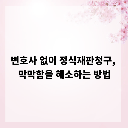 변호사 없이 정식재판청구, 막막함을 해소하는 방법