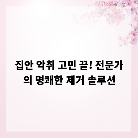 집안 악취 고민 끝! 전문가의 명쾌한 제거 솔루션