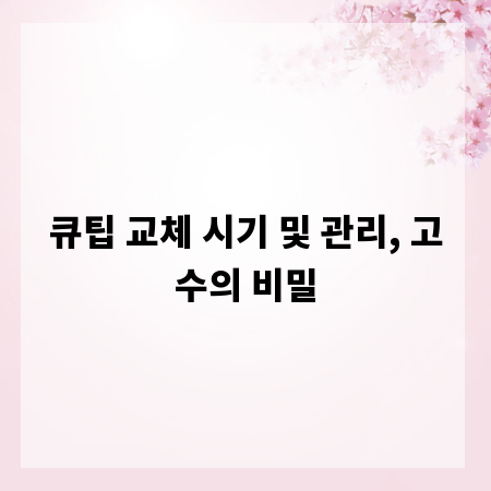 큐팁 교체 시기 및 관리, 고수의 비밀