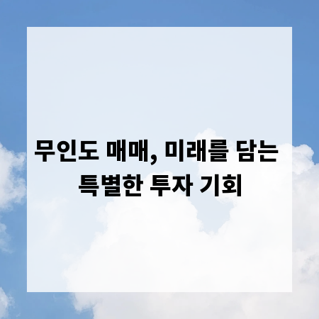 무인도 매매, 미래를 담는 특별한 투자 기회