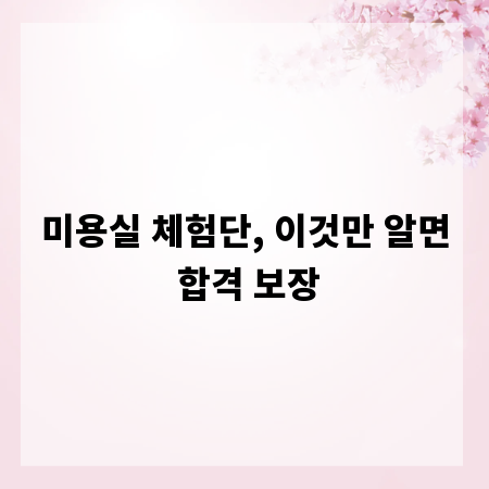 미용실 체험단, 이것만 알면 합격 보장