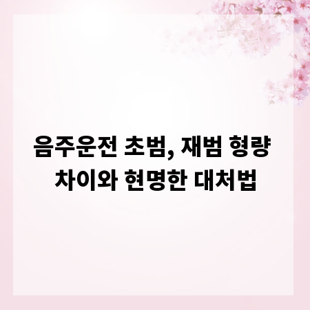 음주운전 초범, 재범 형량 차이와 현명한 대처법