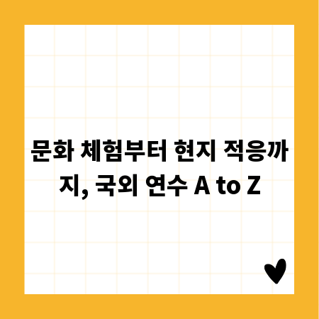 문화 체험부터 현지 적응까지, 국외 연수 A to Z