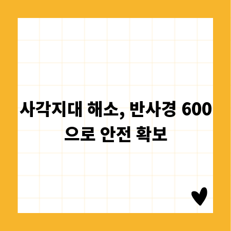 사각지대 해소, 반사경 600으로 안전 확보