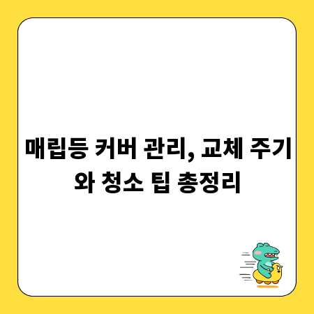 매립등 커버 관리, 교체 주기와 청소 팁 총정리
