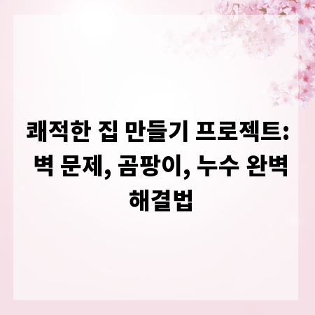 쾌적한 집 만들기 프로젝트: 벽 문제, 곰팡이, 누수 완벽 해결법