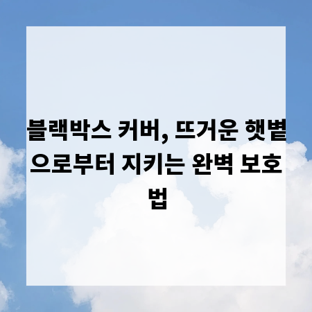블랙박스 커버, 뜨거운 햇볕으로부터 지키는 완벽 보호법