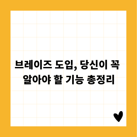브레이즈 도입, 당신이 꼭 알아야 할 기능 총정리