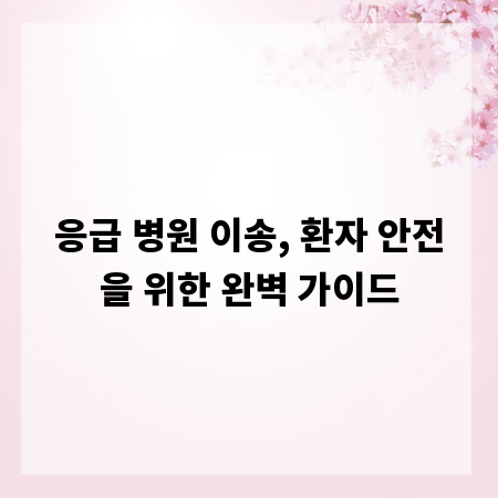 응급 병원 이송, 환자 안전을 위한 완벽 가이드