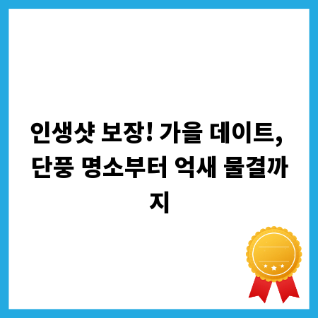 인생샷 보장! 가을 데이트, 단풍 명소부터 억새 물결까지