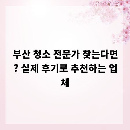 부산 청소 전문가 찾는다면? 실제 후기로 추천하는 업체