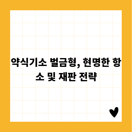 약식기소 벌금형, 현명한 항소 및 재판 전략
