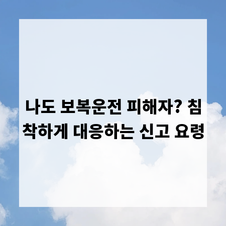 나도 보복운전 피해자? 침착하게 대응하는 신고 요령