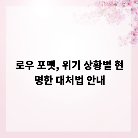 로우 포맷, 위기 상황별 현명한 대처법 안내