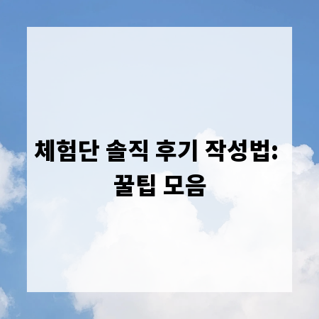체험단 솔직 후기 작성법: 꿀팁 모음