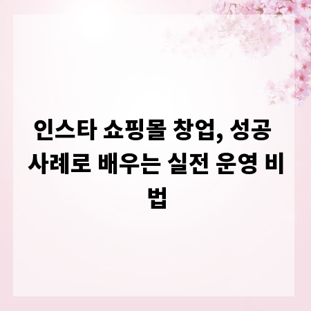 인스타 쇼핑몰 창업, 성공 사례로 배우는 실전 운영 비법