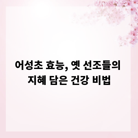 어성초 효능, 옛 선조들의 지혜 담은 건강 비법