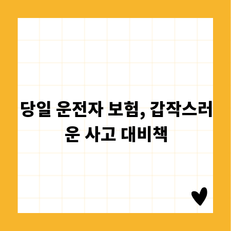 당일 운전자 보험, 갑작스러운 사고 대비책