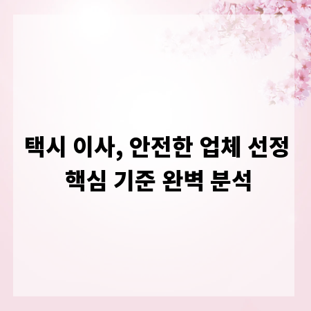 택시 이사, 안전한 업체 선정 핵심 기준 완벽 분석