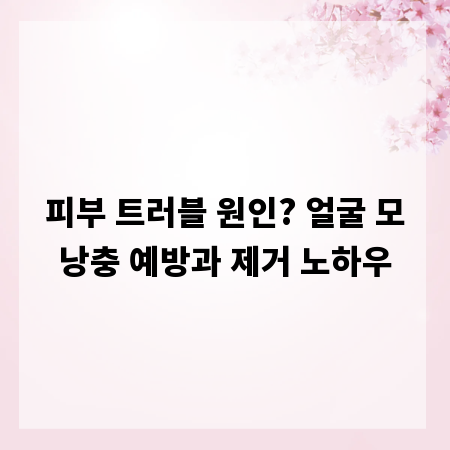 피부 트러블 원인? 얼굴 모낭충 예방과 제거 노하우