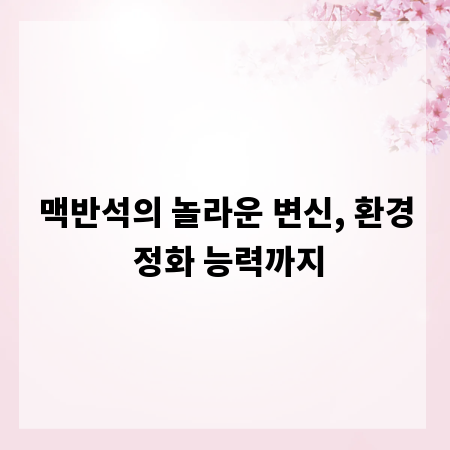 맥반석의 놀라운 변신, 환경 정화 능력까지