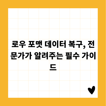 로우 포맷 데이터 복구, 전문가가 알려주는 필수 가이드
