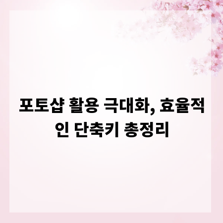 포토샵 활용 극대화, 효율적인 단축키 총정리