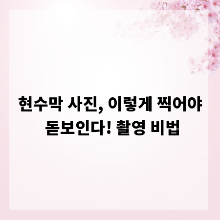 현수막 사진, 이렇게 찍어야 돋보인다! 촬영 비법