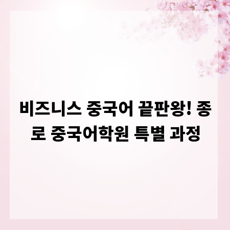 비즈니스 중국어 끝판왕! 종로 중국어학원 특별 과정