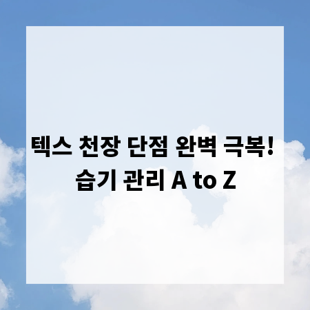 텍스 천장 단점 완벽 극복! 습기 관리 A to Z