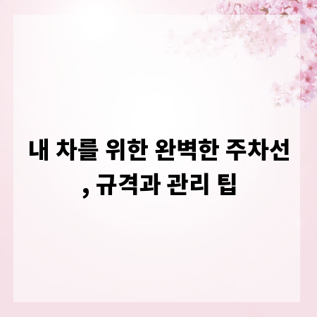 내 차를 위한 완벽한 주차선, 규격과 관리 팁