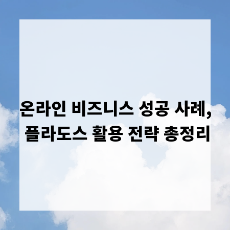 온라인 비즈니스 성공 사례, 플라도스 활용 전략 총정리