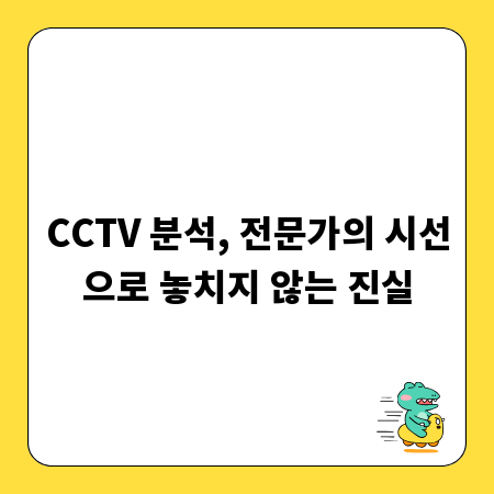 CCTV 분석, 전문가의 시선으로 놓치지 않는 진실