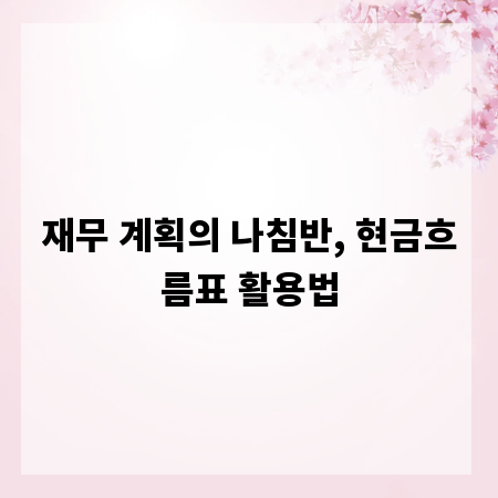 재무 계획의 나침반, 현금흐름표 활용법