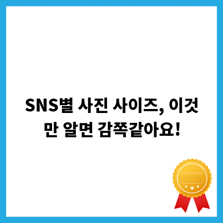 SNS별 사진 사이즈, 이것만 알면 감쪽같아요!