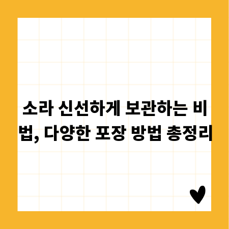 소라 신선하게 보관하는 비법, 다양한 포장 방법 총정리