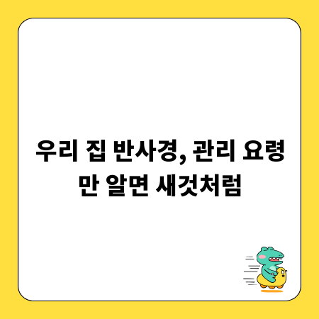우리 집 반사경, 관리 요령만 알면 새것처럼