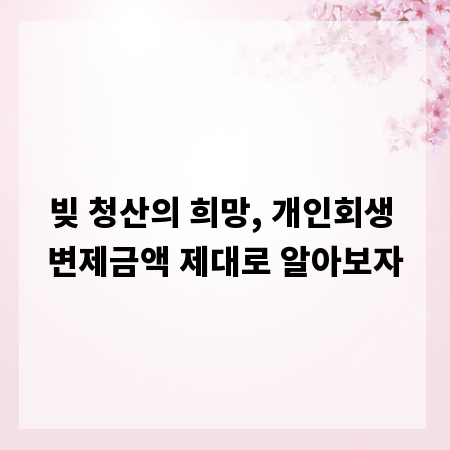 빚 청산의 희망, 개인회생 변제금액 제대로 알아보자