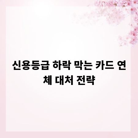 신용등급 하락 막는 카드 연체 대처 전략