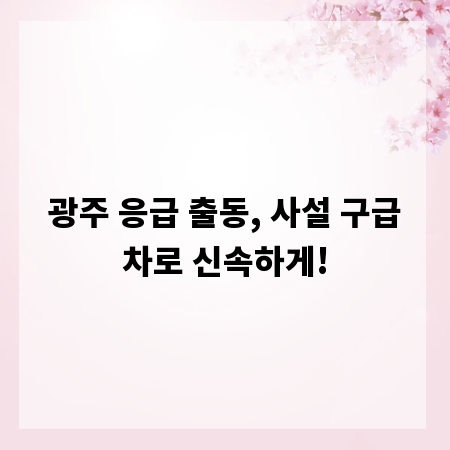 광주 응급 출동, 사설 구급차로 신속하게!
