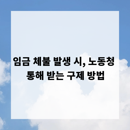 임금 체불 발생 시, 노동청 통해 받는 구제 방법