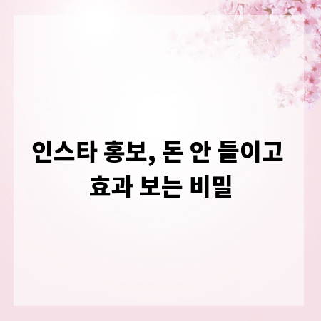 인스타 홍보, 돈 안 들이고 효과 보는 비밀