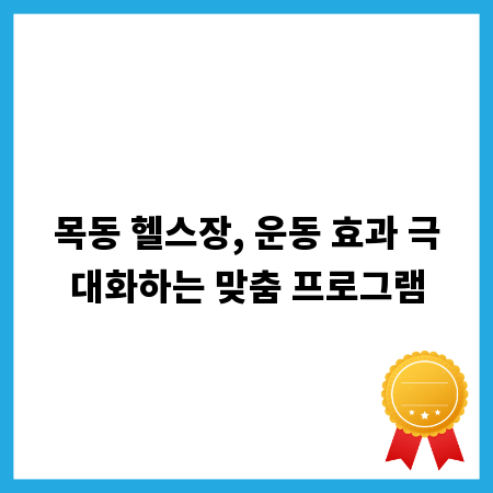 목동 헬스장, 운동 효과 극대화하는 맞춤 프로그램