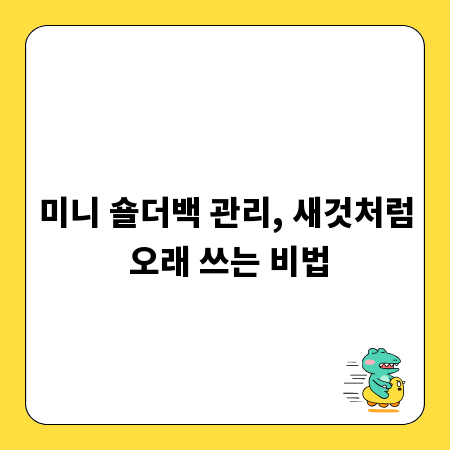 미니 숄더백 관리, 새것처럼 오래 쓰는 비법