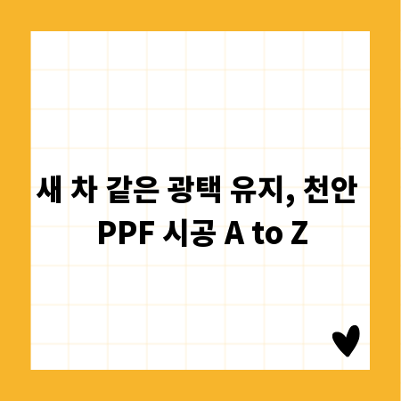 새 차 같은 광택 유지, 천안 PPF 시공 A to Z