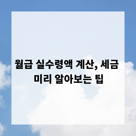 월급 실수령액 계산, 세금 미리 알아보는 팁