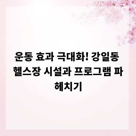 운동 효과 극대화! 강일동 헬스장 시설과 프로그램 파헤치기