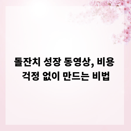 돌잔치 성장 동영상, 비용 걱정 없이 만드는 비법