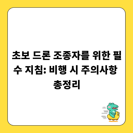 초보 드론 조종자를 위한 필수 지침: 비행 시 주의사항 총정리