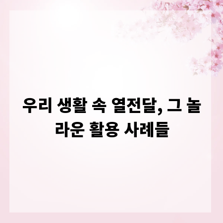 우리 생활 속 열전달, 그 놀라운 활용 사례들